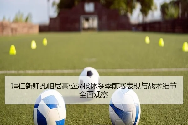 img_1781294518402_2258_0_392.jpg